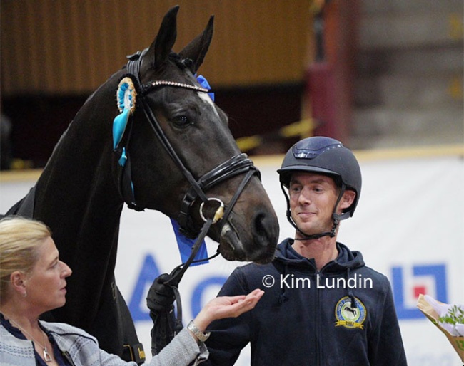 Fonzie wins the 3-year old division at the 2024 Swedish Warmblood Young Horse Championships :: Photos © Kim Lundin