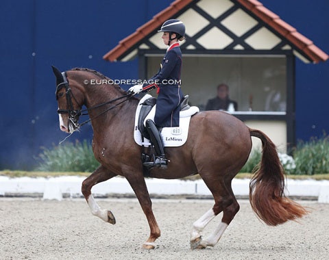 Dujardin and Imhotep at the 2024 CDI Hagen in April :: Photo © Astrid Appels