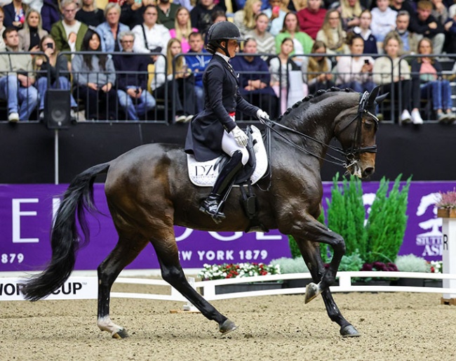 Cathrine Dufour and Mount St. John Freestyle at the 2024 CDI-W Herning :: Photo © FEI/Pernille Hägg
