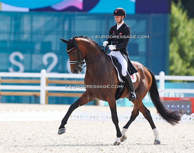Daniel Bachmann Andersen and Vayron at the 2024 Olympic Games :: Photo © Astrid Appels