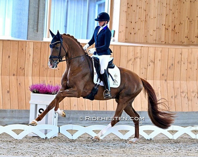 Nanna Skodborg Merrald and Viva Vegas at the 2024 Danish Young Horse Championships :: Photo © Ridehesten