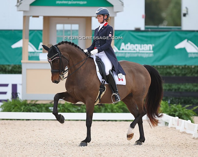 Tina Irwin and Fancy That at the 2024 CDI Wellington :: Photo © Astrid Appels