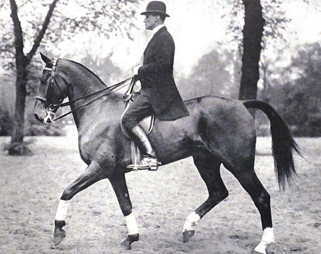 Richard Wätjen riding Donner in Berlin in 1926 :: Photo © Menzendorf