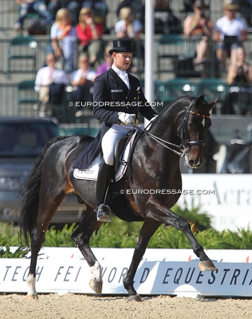 Matthias Rath and Sterntaler at the 2010 World Equestrian Games :: Photo © Astrid Appels