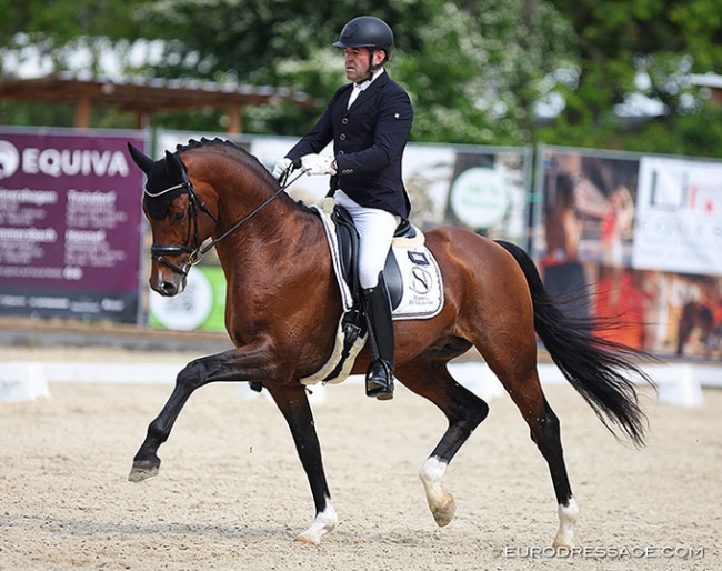 Nick van Laer and Jack Daniels N in the 7-year old tests at the 2022 CDI Troisdorf :: Photo © Astrid Appels