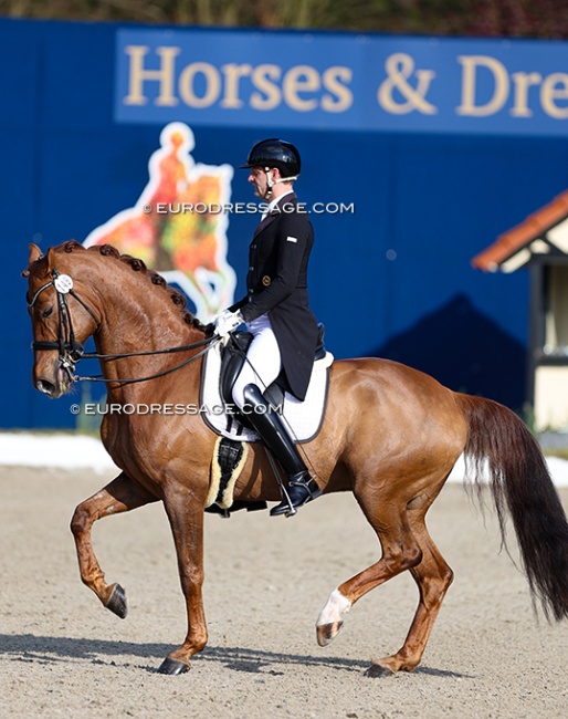 Marcus Hermes and Estero in the Louisdor cup warm-up test at Horses and Dreams 2024 :: Photo © Astrid Appels