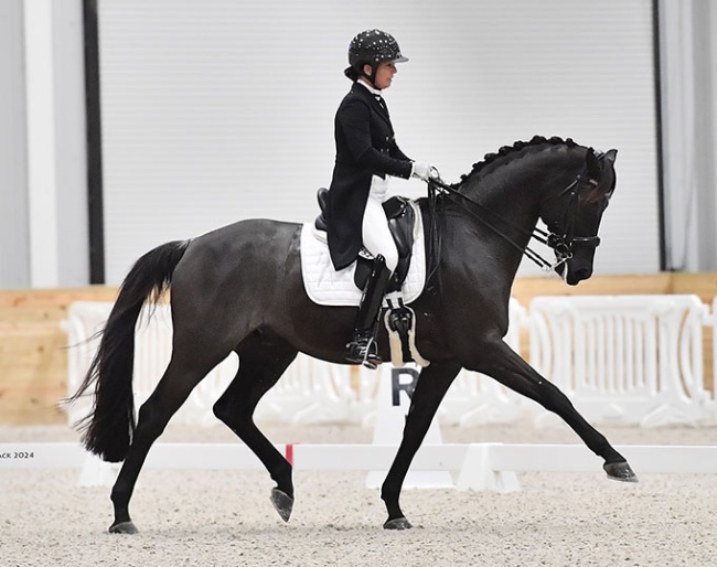 Karen Lipp and Infinity at the 2024 CDI ocala :: Photo © A. Ryback