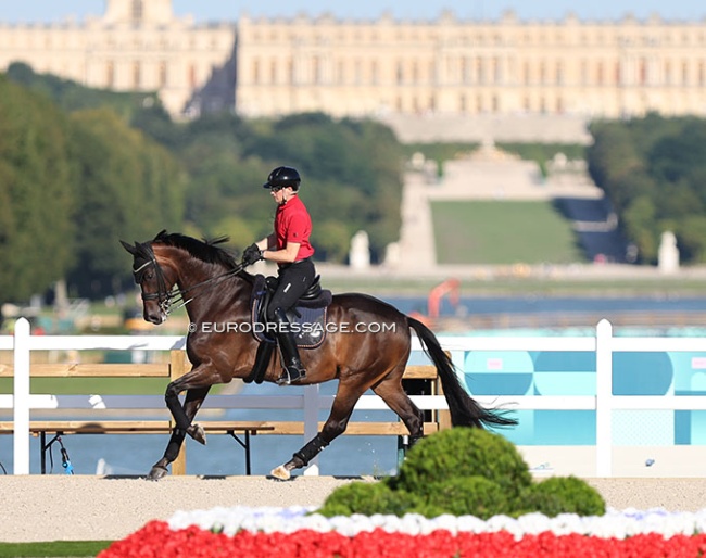 Frederic Wandres schooling Bluetooth at the 2024 Olympic Games :: Photo © Astrid Appels