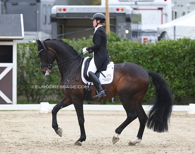 Malin Wahlkamp-Nilsson on Sam at the 2024 CDI Sint-Truiden :: Photo © Astrid Appels