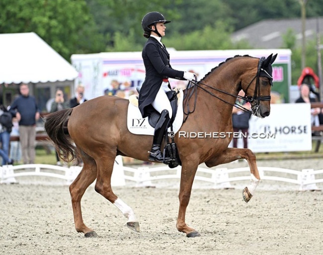 Dufour and Vividus QRE at the 2024 Danish Dressage Championships :: Photo © Ridehesten