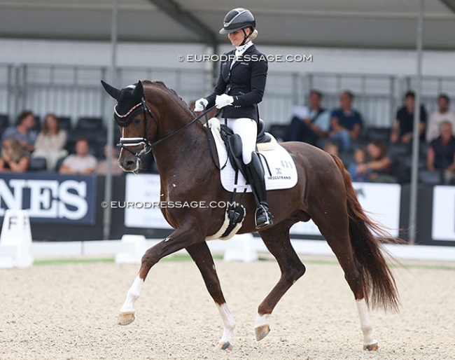 Mette Sejbjerg Jensen on For Royalty in the 4-year old challenge at the 2024 World Young Horse Championships :: Photo © Astrid Appels