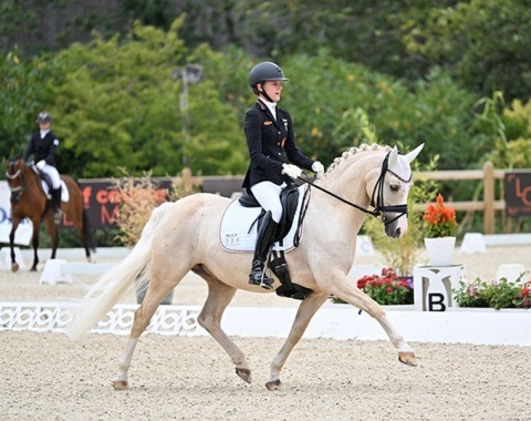 Le Mans hosted the European Pony Championships in 2023 :: Photo Les Gareness