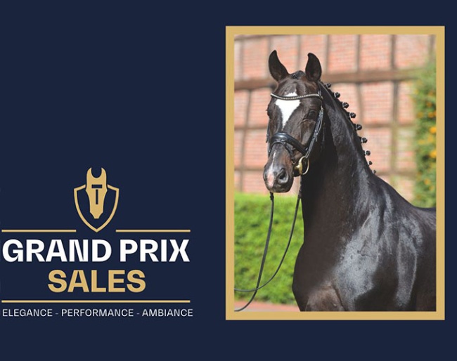 Sir Donnerhall I, sire of Gesine, full sister to lot 10