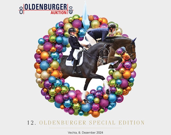 12th Oldenburger Special Edition on 8 December 2024