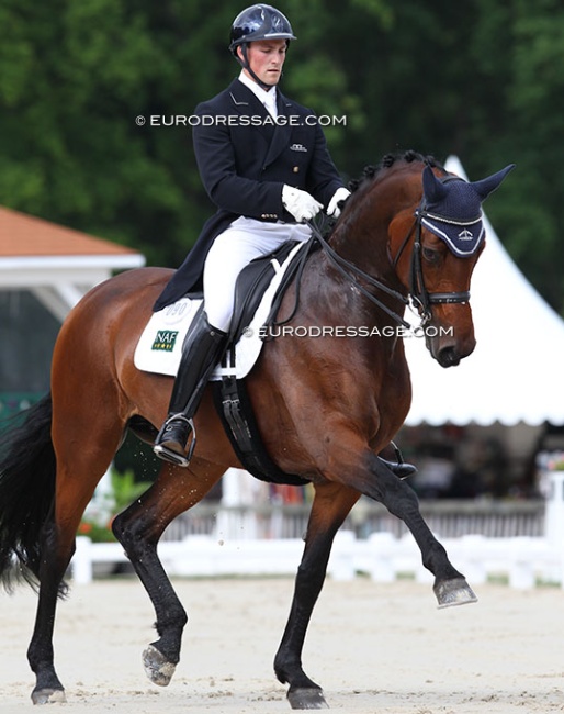 Woodlander Dornröschen at the 2012 CDI Compiegne :: Photo © Astrid Appels