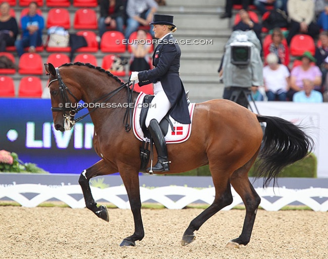 Lone Bang Larsen and Fitou L at the 2013 European Dressage Championships in Herning :: Photo © Astrid Appels