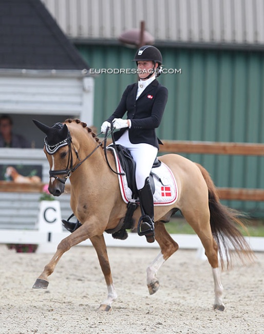 Caroline Jorgensen and Dr. Doolittle at the 2021 CDI Grote Brogel :: Photo © Astrid Appels