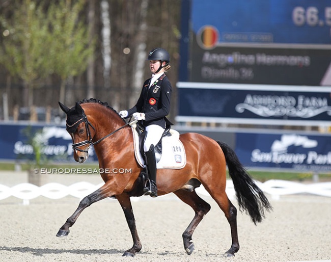 Antonia Roth and Dark Delight B at the 2021 CDI Opglabbeek :: Photo © Astrid Appels