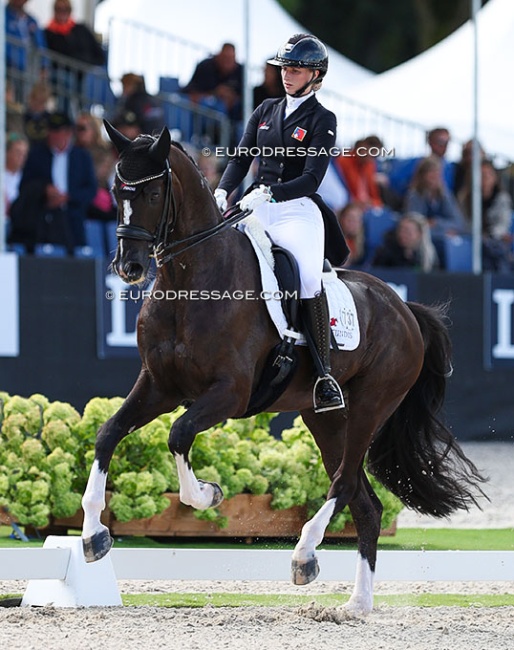 Rogerson and L'Amour at the 2023 World Young Horse Championships :: Photo © Astrid Appels