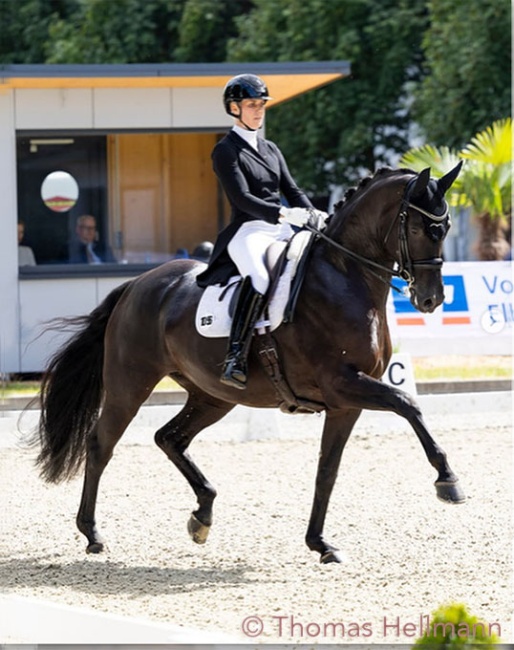 Juliane Brunkhorst and La Belle Noire at the Burgpokal qualifier in Elmlohe :: Photto © Thomas Hellmann
