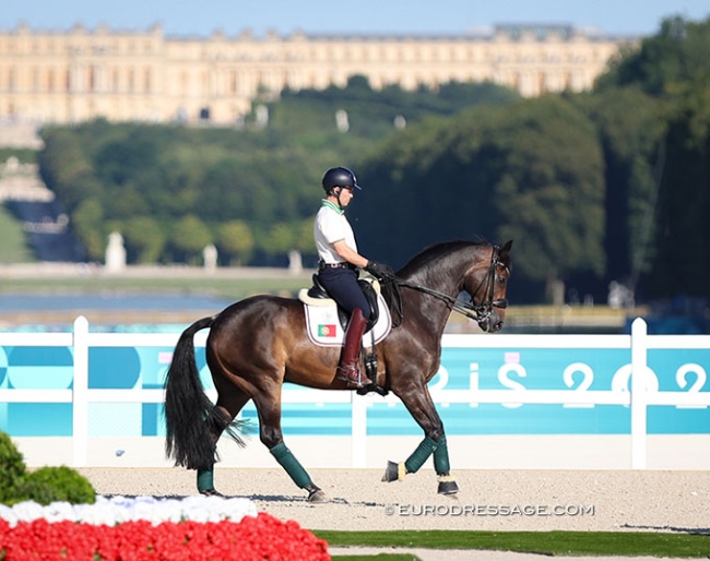 Antonio do Vale on Fine Fellow H at the 2024 Paris Olympics :: Photo © Astrid Appels