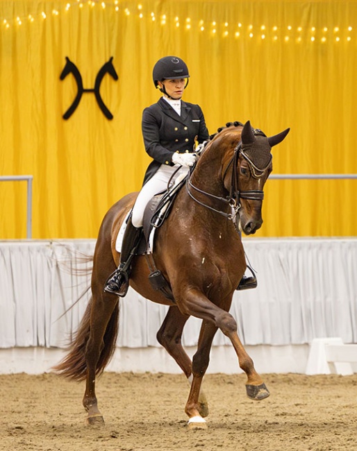 Charlott Schürmann and Life Time in the FRH Cup in Verden in November :: Photo © Hannoveraner Verband