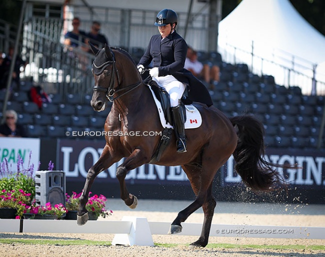 Tanya Strasser competing Mr Morrison at the 2024 World Young Horse Championships in Ermelo in September :: Photo © Astrid Appels