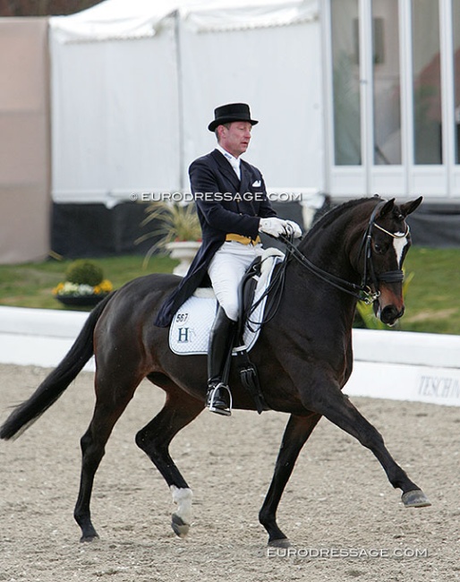 Oliver Luze on Shania at the 2010 CDI Hagen :: Photo © Astrid Appels