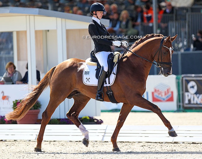 Hannah Laser and Damaschino at the 2021 World Young Horse Championships :: Photo © Astrid Appels