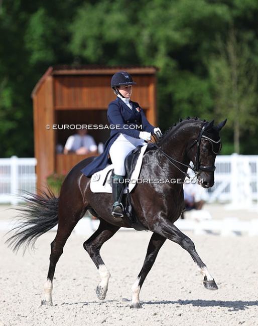fenella Quinn and Empire B at the 2022 CDIO Compiegne :: Photo © Astrid Appels