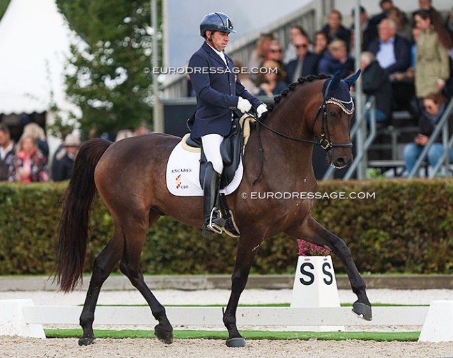 Antonio Segui Sintes on Will Marq at the 2022 World Young Horse Championships :: Photo © Astrid Appels