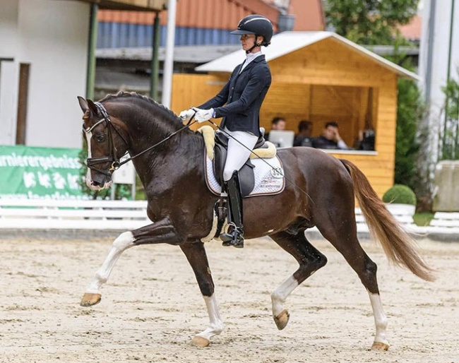 Hannah Laser and Sky at the 2024 Bundeschampionate :: Photo courtesy Laser/Gut Schönweide