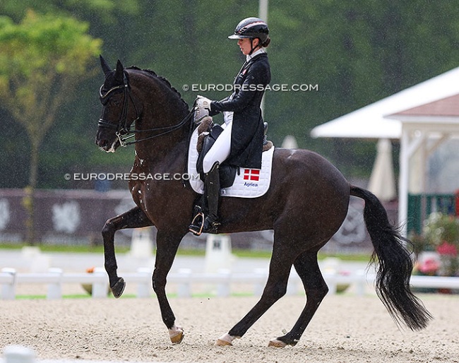 Carina Cassoe Kruth and Heiline's Danciera in the rain at the 2024 CDIO Compiegne :: Photo © Astrid Appels