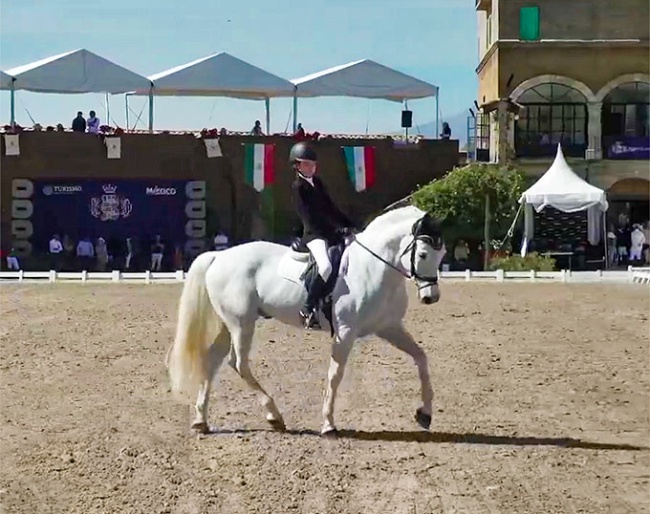 Mercedes Urquiza Pardo and Gitano win the Children division at the 2024 Mexican Championships