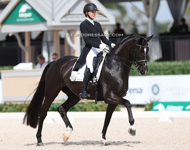 Jessica Howington and Serenade MF at the 2024 Palm Beach Dressage Derby :: Photo © Astrid Appels