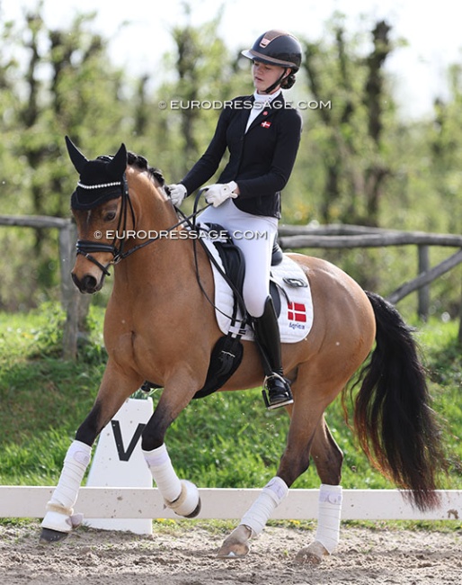 Alberte Harsbo and Mysterie Check at the 2024 CDI Sint-Truiden :: Photo © Astrid Appels