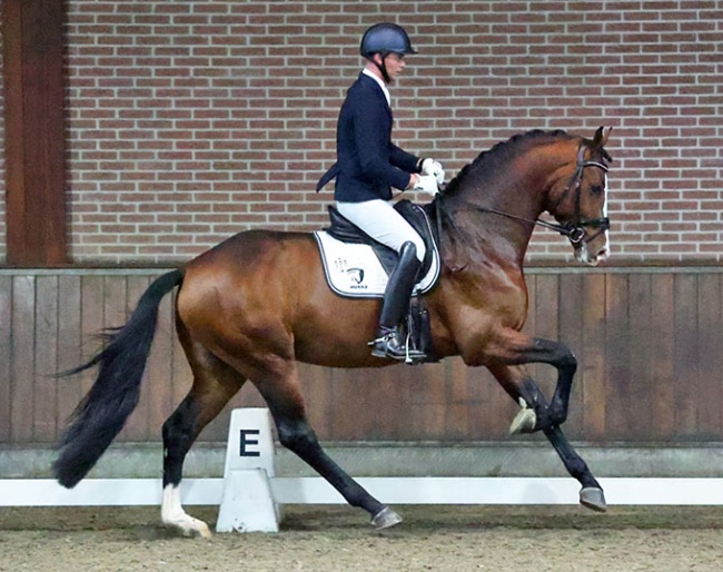 Diederik van Silfhout on Final Dream at the 2025 NRPS stallion performance test