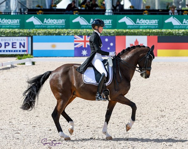 Jemma Heran and Total Recall at the 2025 CDI-W Wellington :: Photo © Sue Stickle