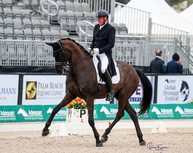 Michael Klimke on his new Grand Prix, Dante's Peak, at the 2025 CDI-W Wellington :: Photo © Astrid Appels