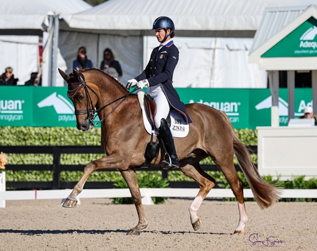 Adrienne Lyle and Helix at the 2025 CDI-W Wellington :: Photo © Sue Stickle