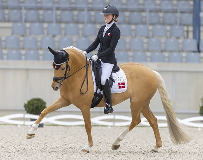 Emilie Hansen and Bossa Nova Bitsch at the 2024 CDI Aachen Festival 4 Dressage :: Photo © Digishots
