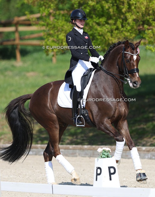Liva Guldager Nielsen and Don Caballero at the 2022 CDI Troisdorf :: Photo © Astrid Appels