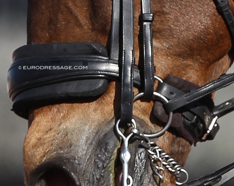 A common sight in international dressage: cranked noseband with double padding :: Photo © Astrid Appels