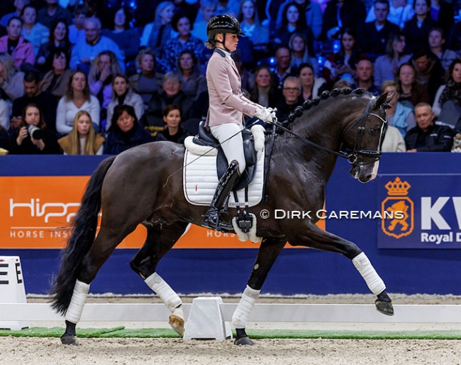 Renate van Uytert-Van Vliet and Extreme U.S. at the 2024 KWPN Stallion Competition Finals :: Photos © Dirk Caremans