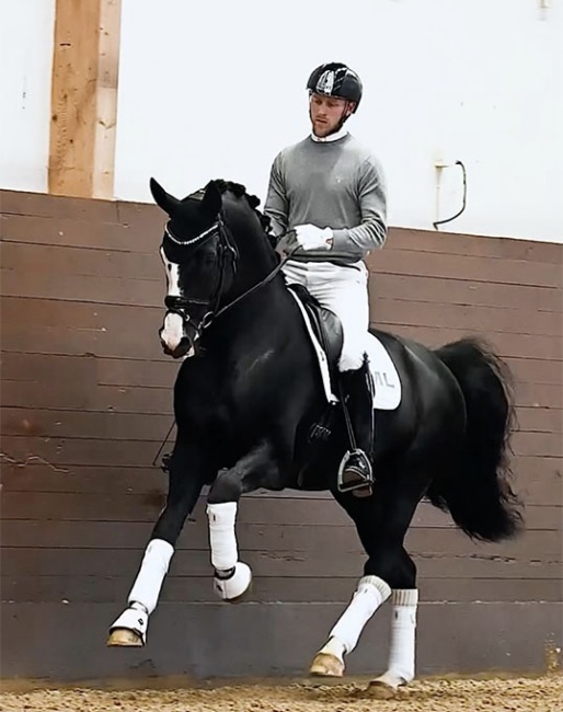 Oneofakind OM (by Total Hope x Zack)