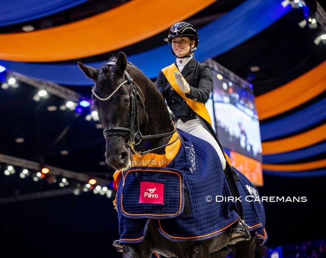 Glamourdale at the 2025 KWPN Stallion Show in 's Hertogenbosch :: Photo © Dirk Caremans