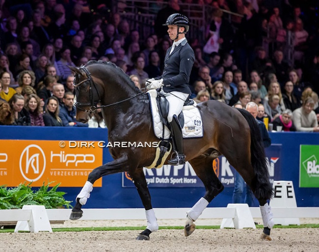Bart Veeze on Pina Colada in the 2025 KWPN Stallion Competition Finals :: Photo © Dirk Caremans