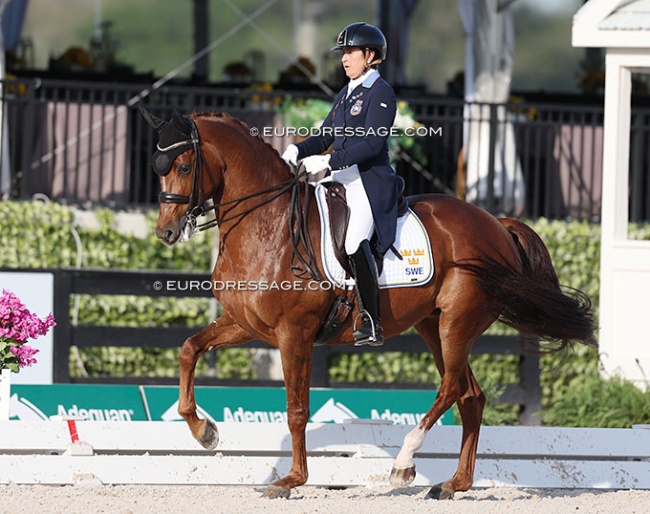 Tinne Vilhelmson-Silfven and Hyatt at the 2025 CDIO Wellington :: Photo © Astrid Appels