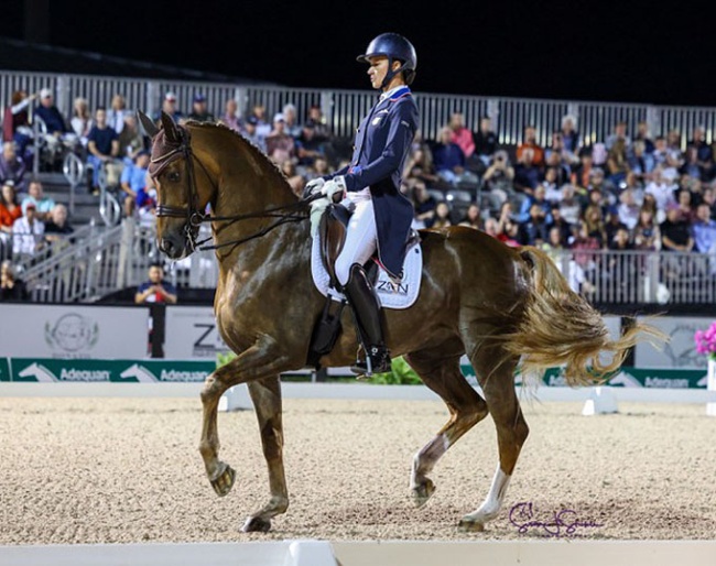 Adrienne Lyle and Helix at the 2025 CDI-W Wellington :: Photo © Sue Stickle