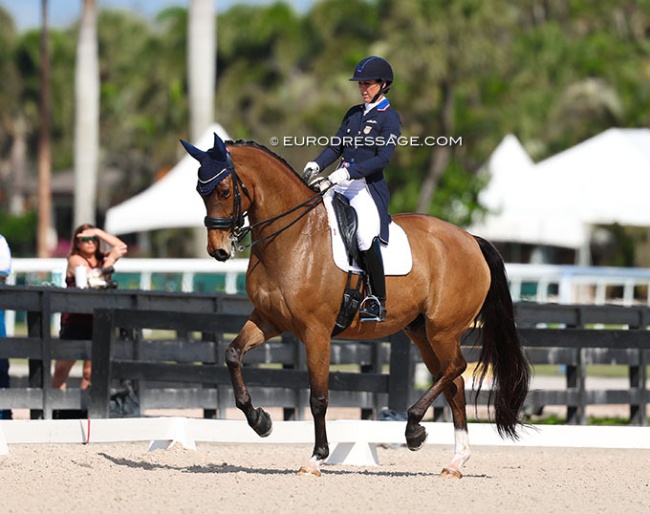 Kasey Perry-Glass and Heartbeat WP at the 2025 Global Dressage Festival in Wellington in their first Grand Prix together :: Photos © Astrid Appels